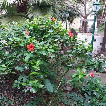 Casa El Cardon A1 布埃纳维斯塔城北